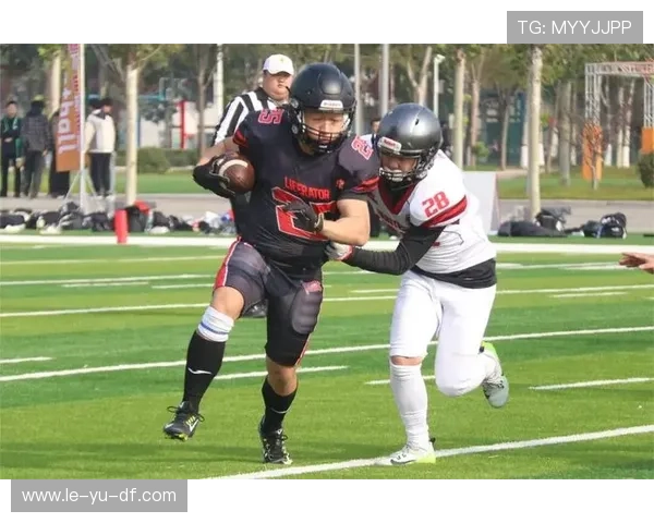 橄榄球世界杯：热门球队争锋，激战即将开启！