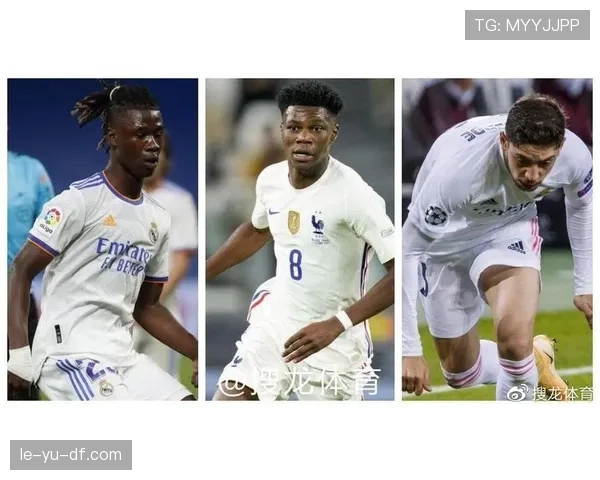 卡马文加身价与稳定性、战术角色是否匹配 卡马文加身价与稳定性、战术角色是否匹配